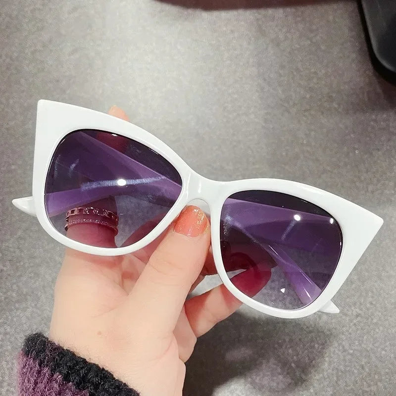 Large Cat Eye Sunglasses